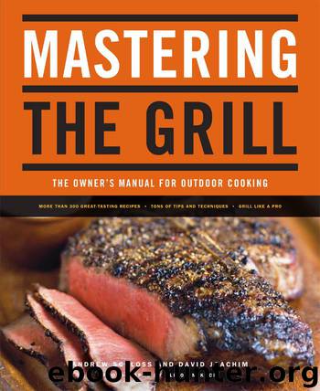 Mastering the Grill: The Owner's Manual for Outdoor Cooking by Andrew Schloss; David Joachim; Alison Miksch
