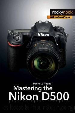Mastering the Nikon D500 by Darrell Young