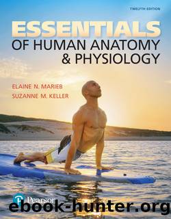 MasteringA&P -- for Essentials of Human Anatomy & Physiology, 12e by Elaine N. Marieb & Suzanne M. Keller