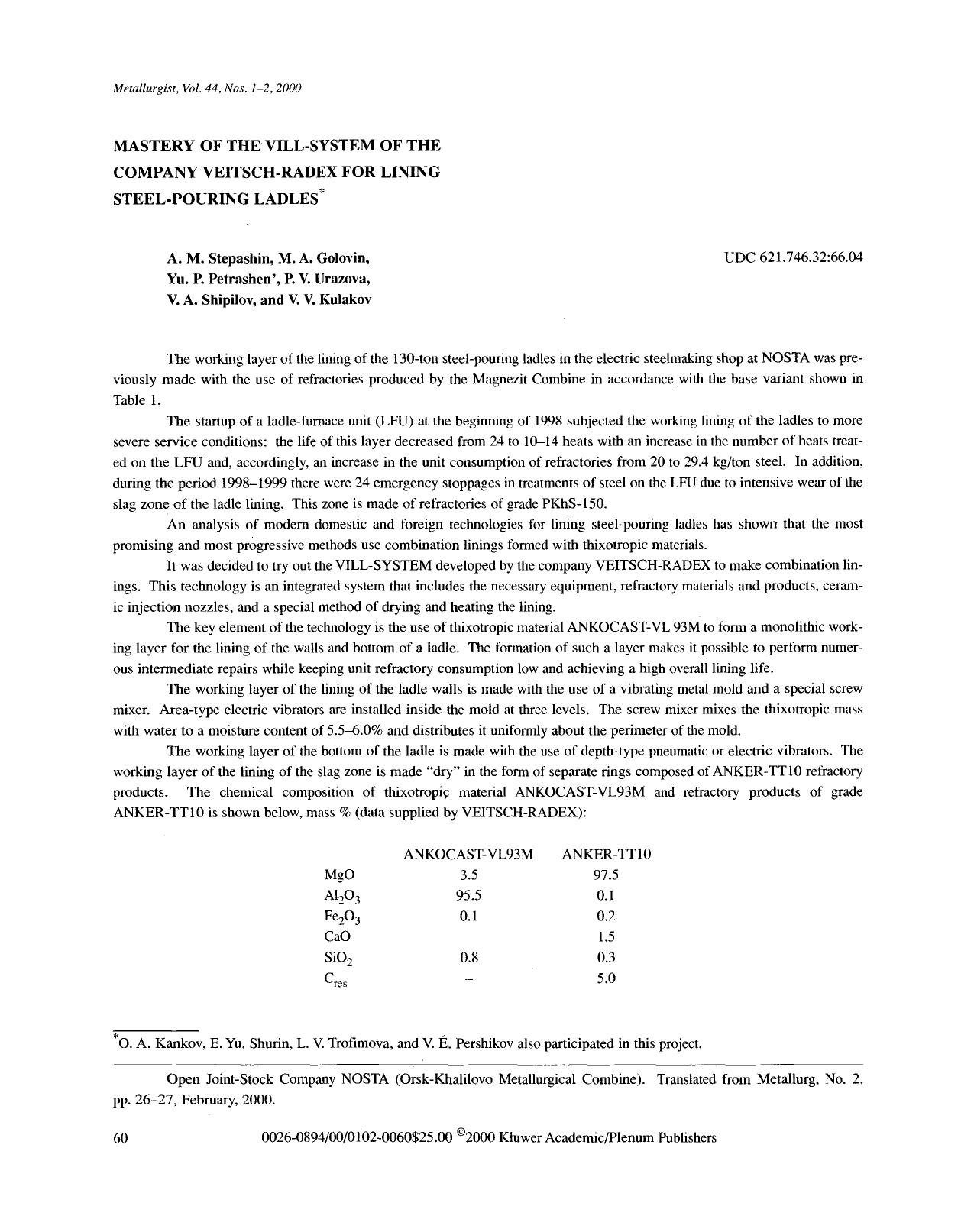 Mastery of the VILL-SYSTEM of the company VETSCH-RADEX for lining steel-pouring ladles by Unknown