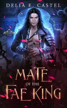 Mate of the Fae King (Dark Faerie Court Book 2) by Delia E Castel