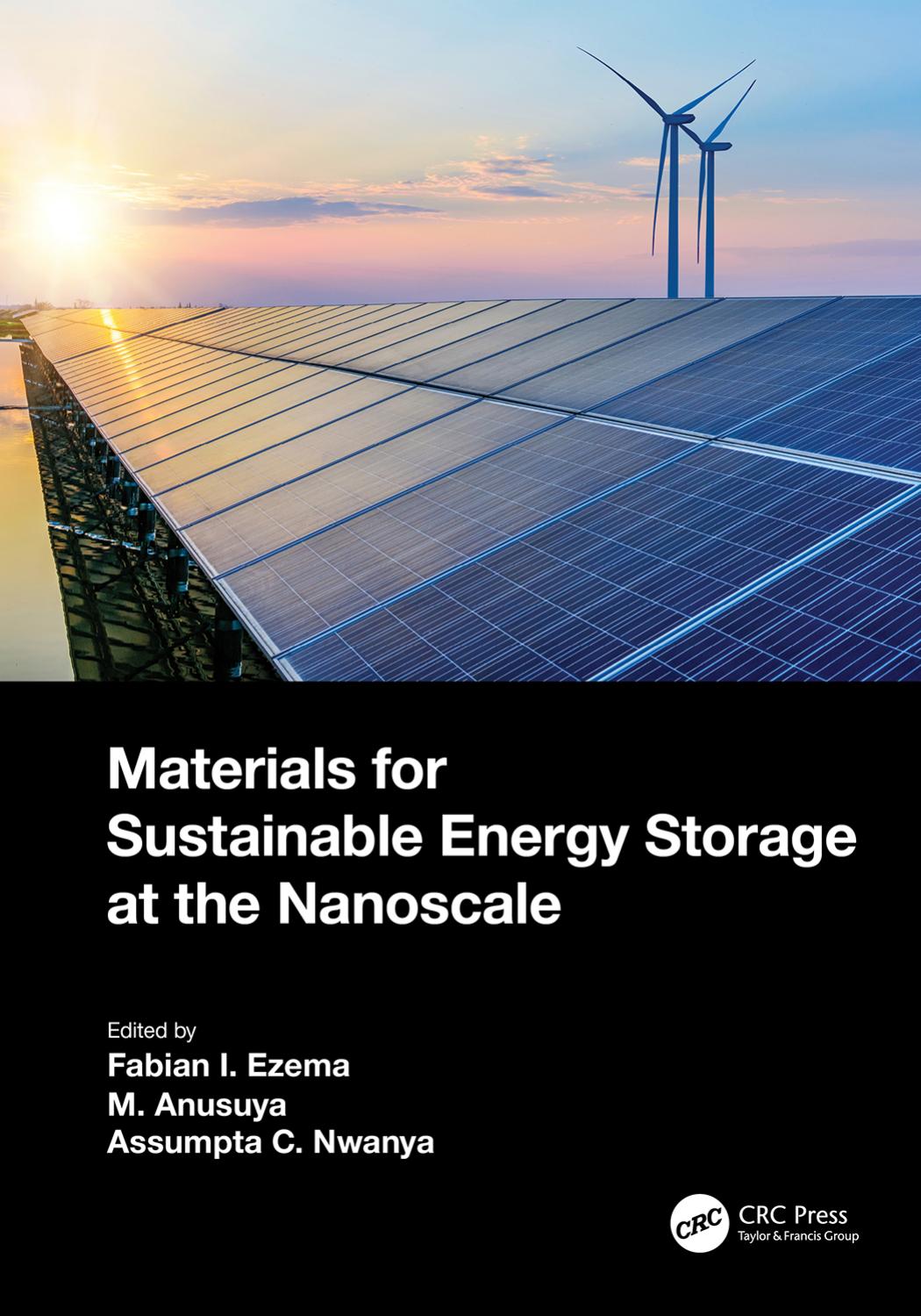Materials for Sustainable Energy Storage at the Nanoscale by Fabian Ifeanyichukwu Ezema M. Anusuya Assumpta C. Nwanya