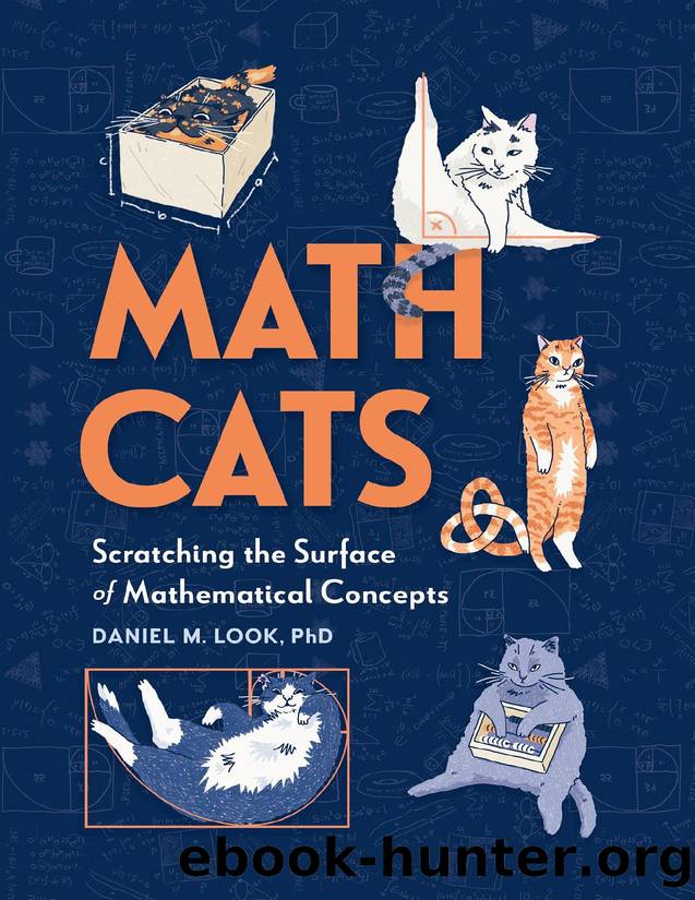 Math Cats by Daniel M Look