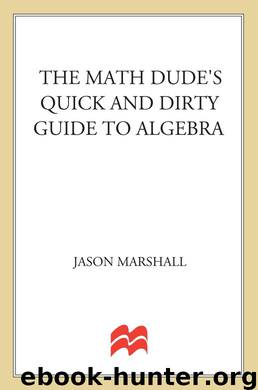 Math Dude's Quick and Dirty Guide to Algebra by Marshall Jason