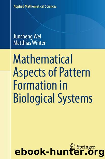 Mathematical Aspects of Pattern Formation in Biological Systems by Juncheng Wei & Matthias Winter