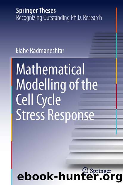 Mathematical Modelling of the Cell Cycle Stress Response by Elahe Radmaneshfar