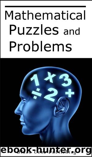 Mathematical Puzzles and Problems by Daniel Benson & FJ Bermann