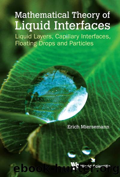 Mathematical Theory of Liquid Interfaces: Liquid Layers, Capillary Interfaces, Floating Drops and Particles by Erich Miersemann