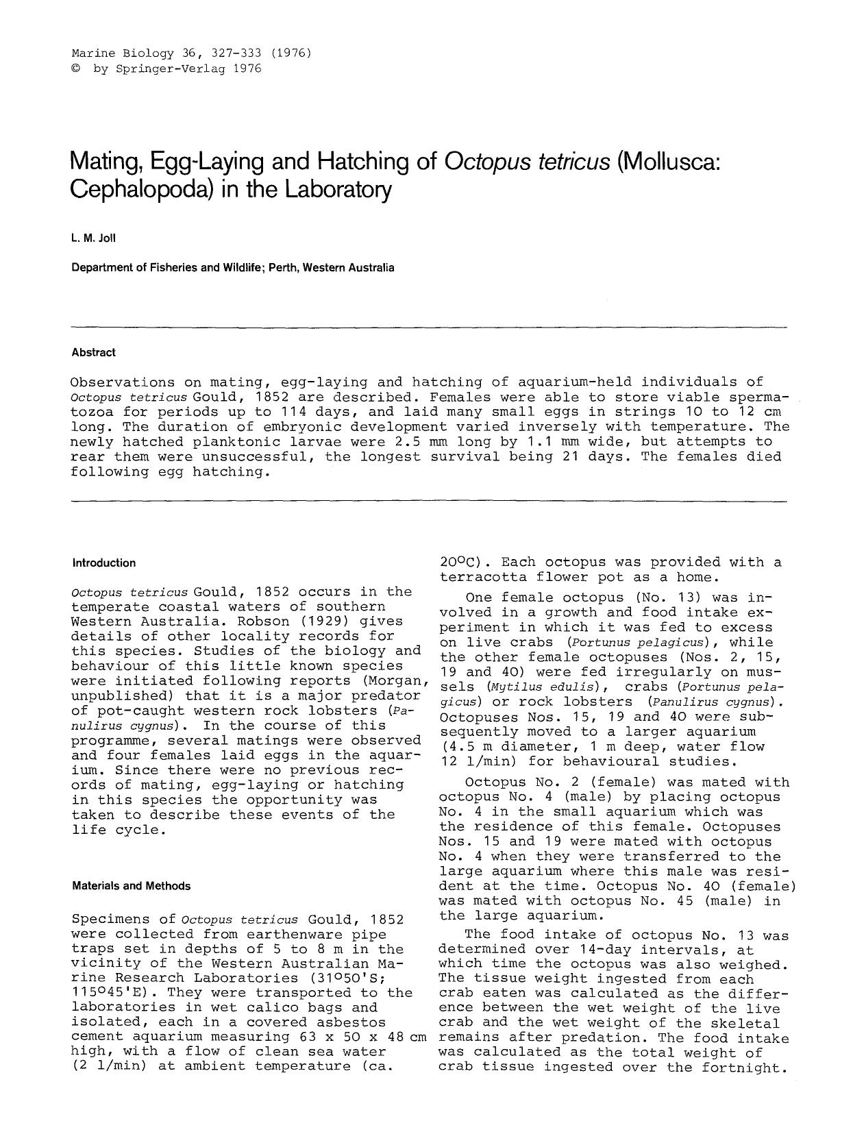 Mating, egg-laying and hatching of <Emphasis Type="Italic">Octopus tetricus<Emphasis> (Mollusca: Cephalopoda) in the laboratory by Unknown