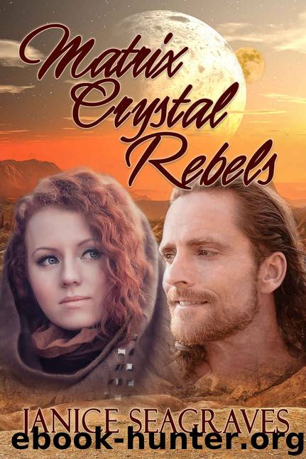 Matrix Crystal Rebels: Book Four (Matrix Crystal Series 4) by Janice Seagraves