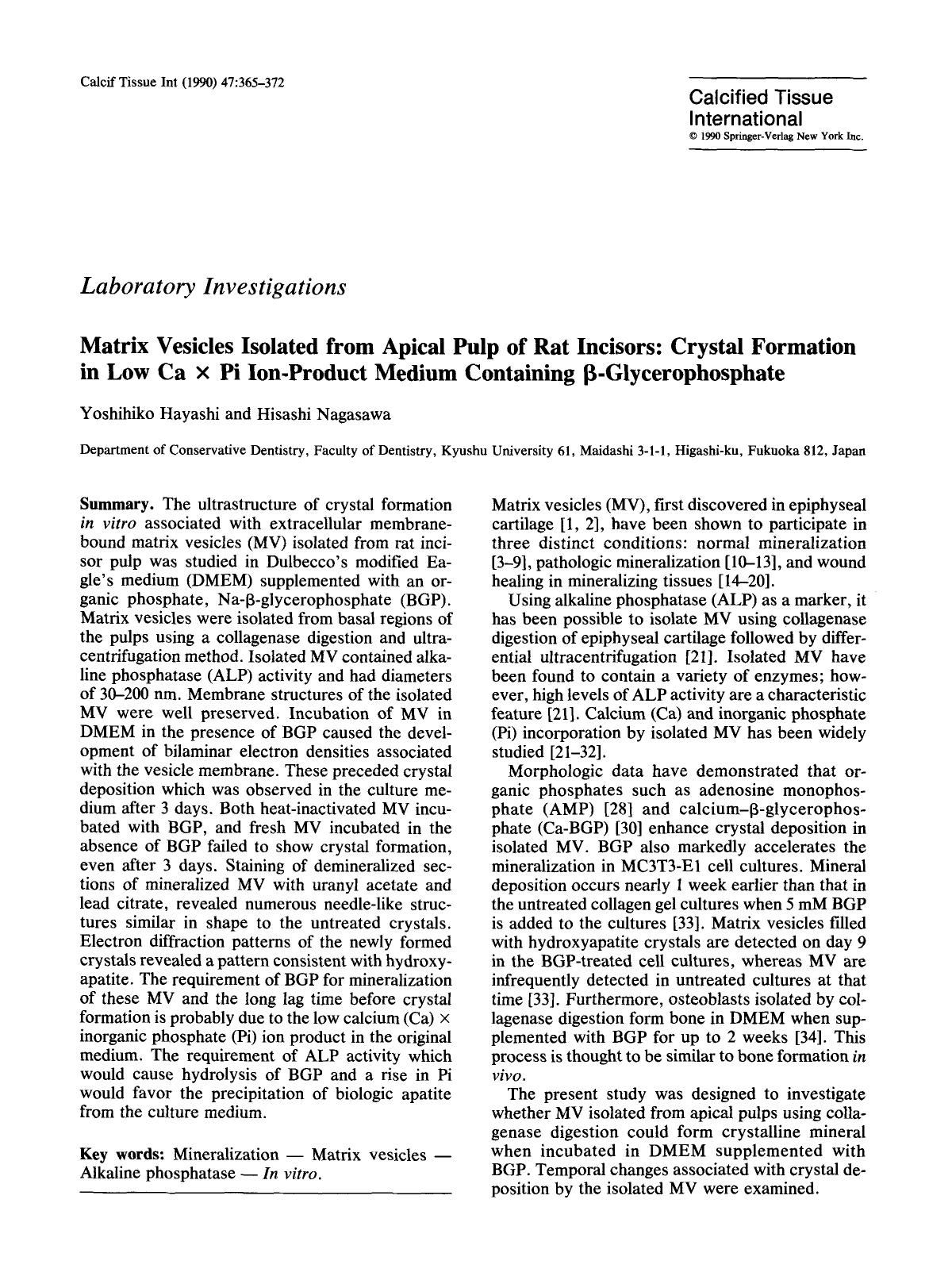 Matrix vesicles isolated from apical pulp of rat incisors: Crystal formation in low Ca×Pi ion-product medium containing β-glycerophosphate by Unknown