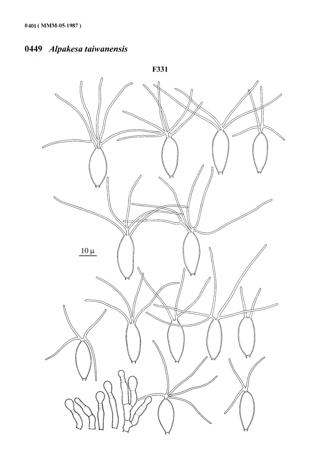 Matsushima mycological memoirs (part 2) by Matsushima T