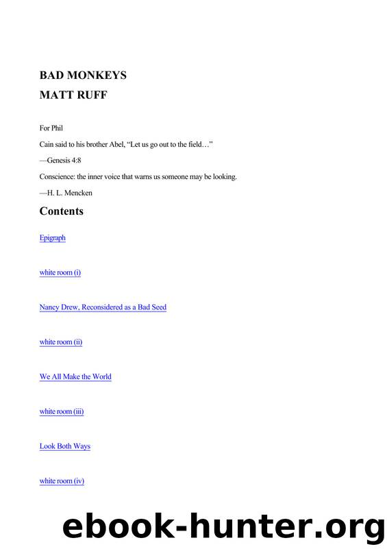 Matt Ruff by Bad Monkeys