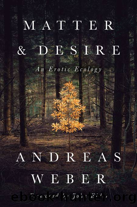 Matter & Desire: An Erotic Ecology by Andreas Weber