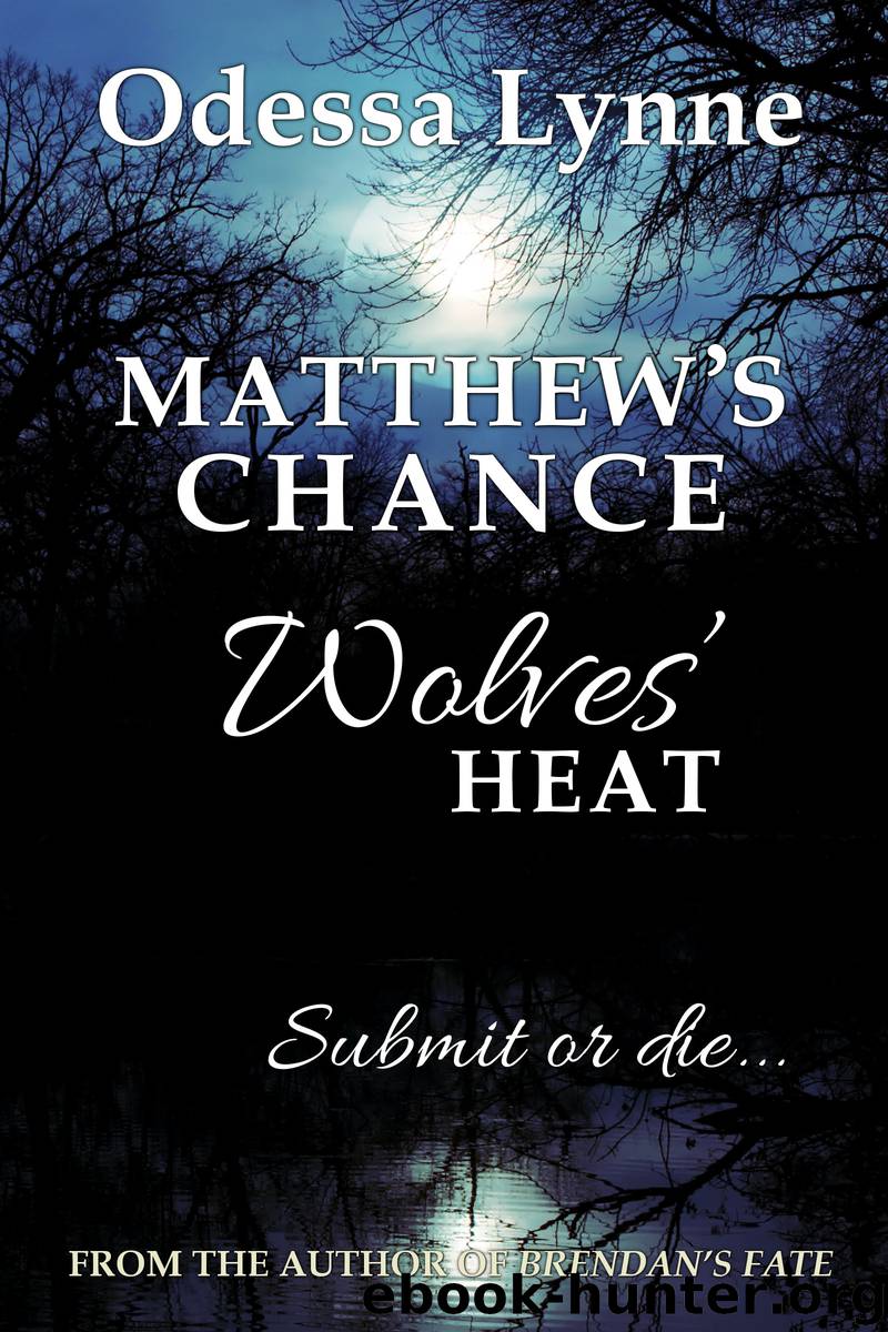 Matthew's Chance by Odessa Lynne