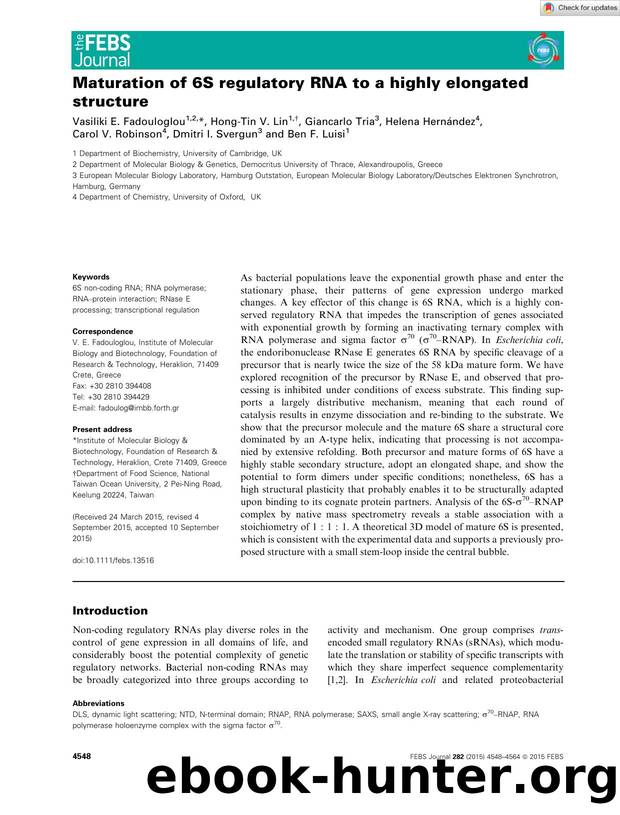 Maturation of 6S regulatory RNA to a highly elongated structure by Unknown