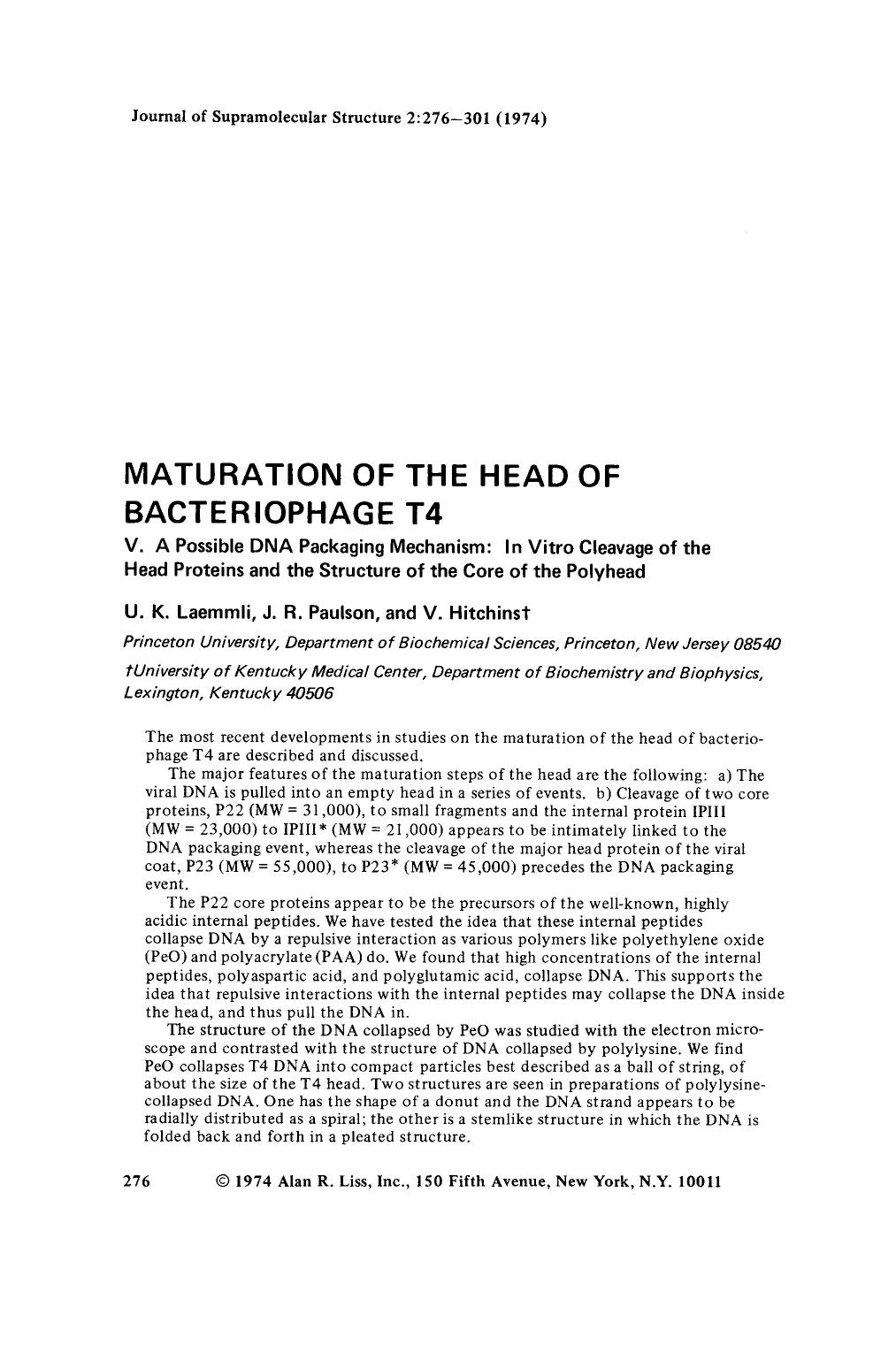 Maturation of the head of bacteriophage T4. V. A possible DNA packaging mechanism: In vitro cleavage of the head proteins and the structure of the core of the polyhead by Unknown