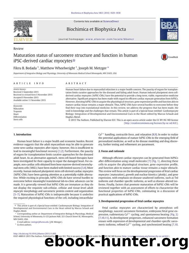Maturation status of sarcomere structure and function in human iPSC-derived cardiac myocytes by Fikru B. Bedada & Matthew Wheelwright & Joseph M. Metzger