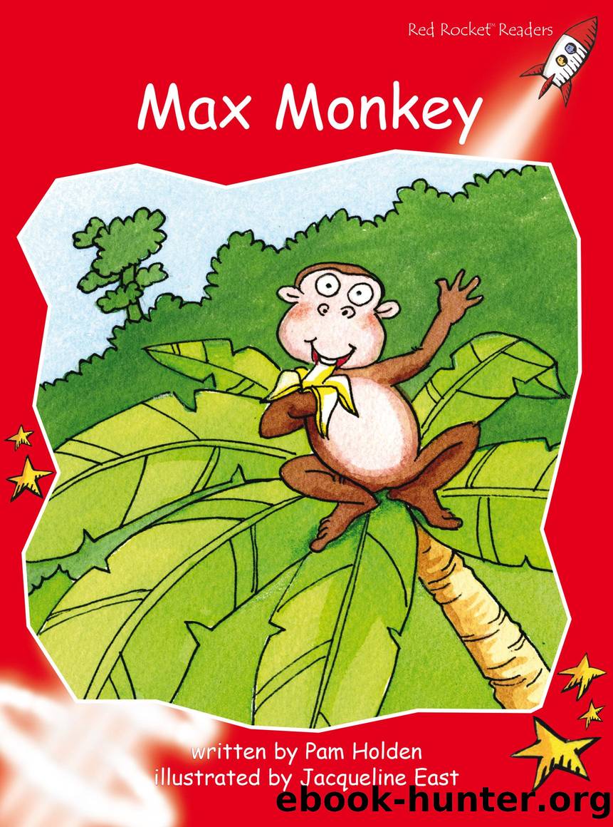 Max Monkey by Pam Holden