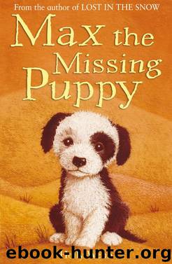 Max the Missing Puppy by Holly Webb