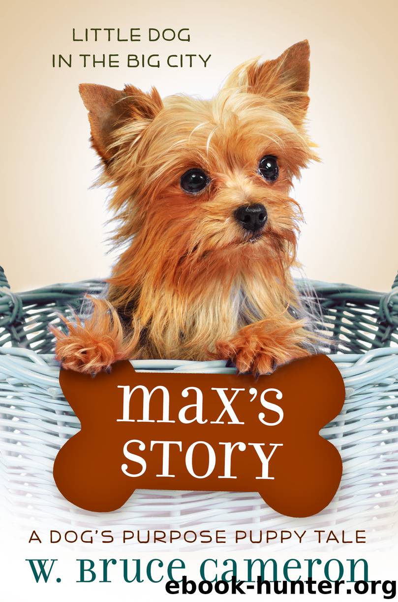 Max's Story by W. Bruce Cameron