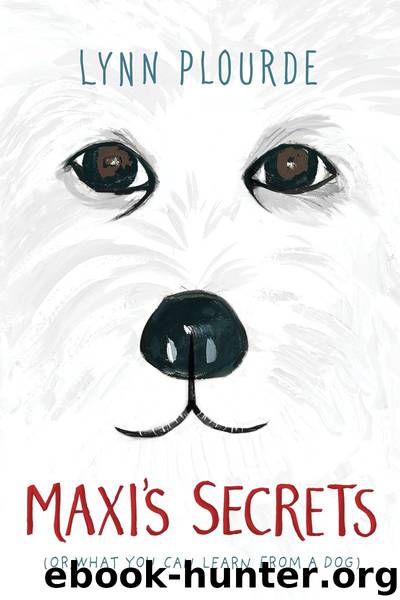 Maxi's Secrets by Lynn Plourde