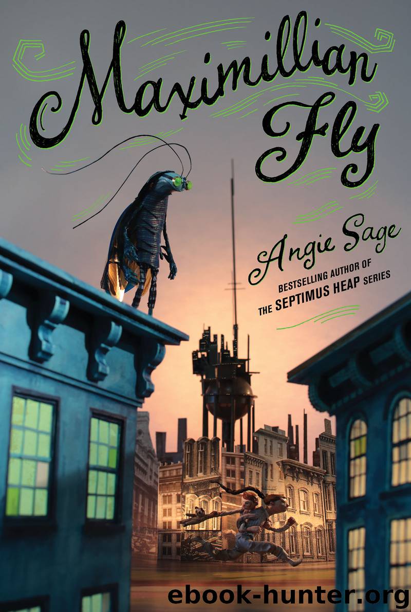 Maximillian Fly by Angie Sage