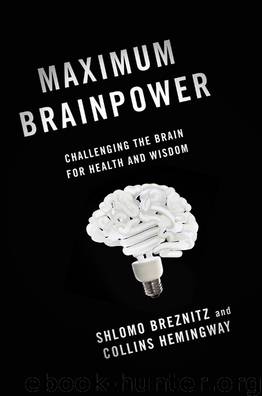 Maximum Brainpower by Shlomo Breznitz