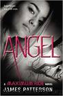 Maximum Ride #7: Angel by James Patterson