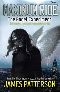 Maximum Ride : The Angel Experiment by James Patterson