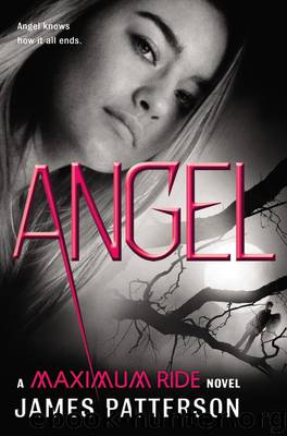 Maximum Ride 7 - Angel by James Patterson