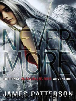 Maximum Ride 8 - Nevermore by James Patterson