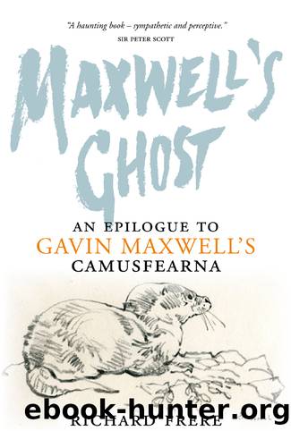 Maxwell's Ghost by Richard Frere