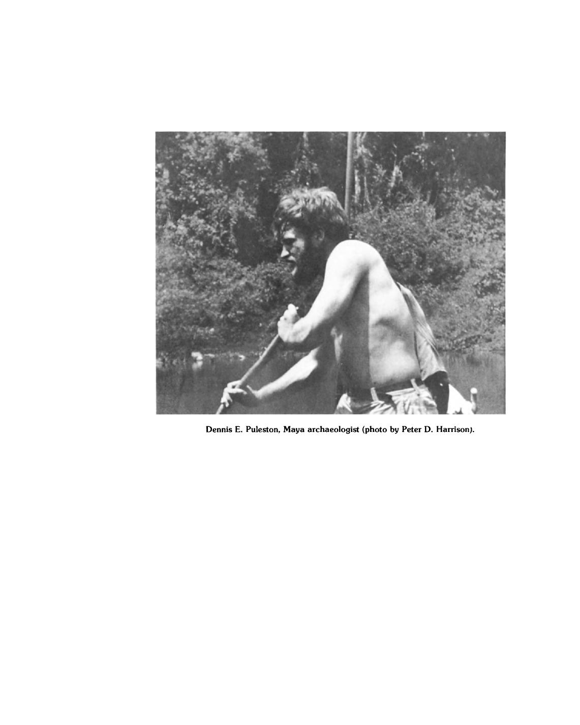 Maya Subsistence. Studies in Memory of Dennis E. Puleston by Kent V. Flannery