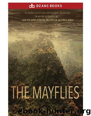 Mayflies by Sara Veglahn