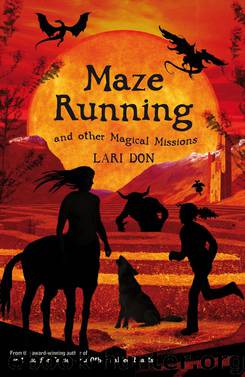 Maze Running and other Magical Missions by Lari Don