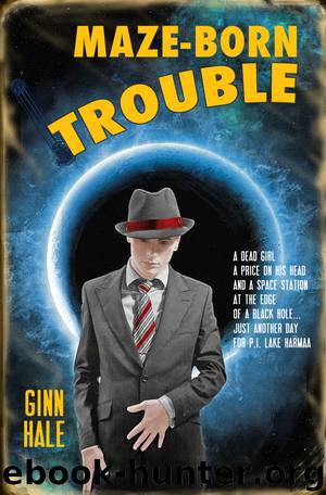 Maze-Born Trouble by Ginn Hale