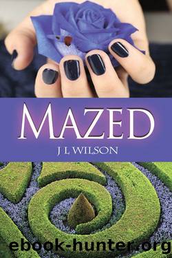 Mazed by J L Wilson