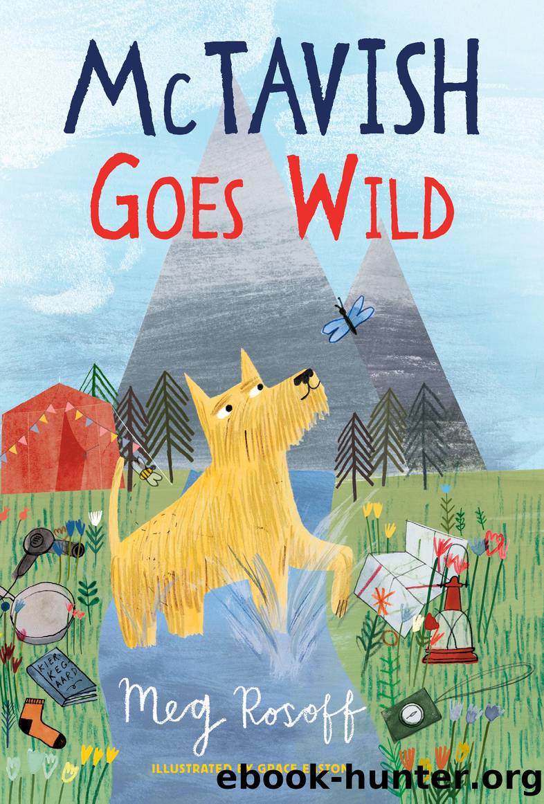 McTavish Goes Wild by Meg Rosoff