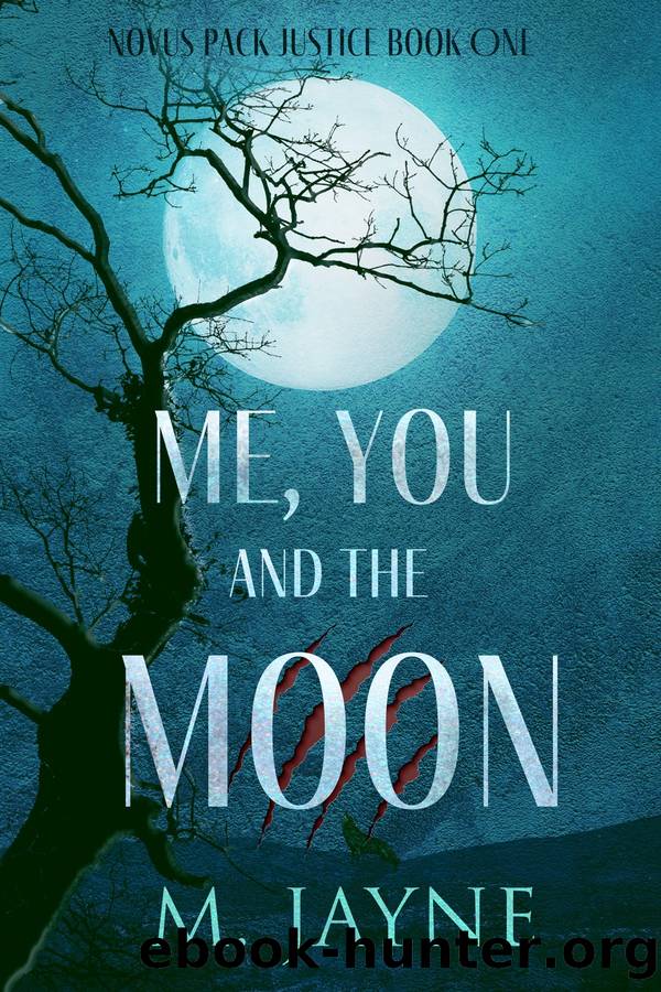 Me, You, and the Moon by M. Jayne