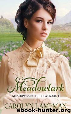 Meadowlark by Carolyn Lampman