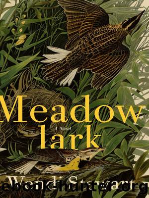 Meadowlark by Wendi Stewart
