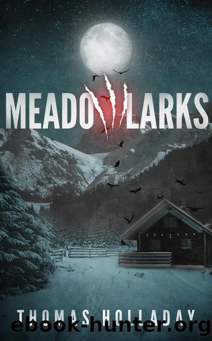Meadowlarks by Thomas Holladay