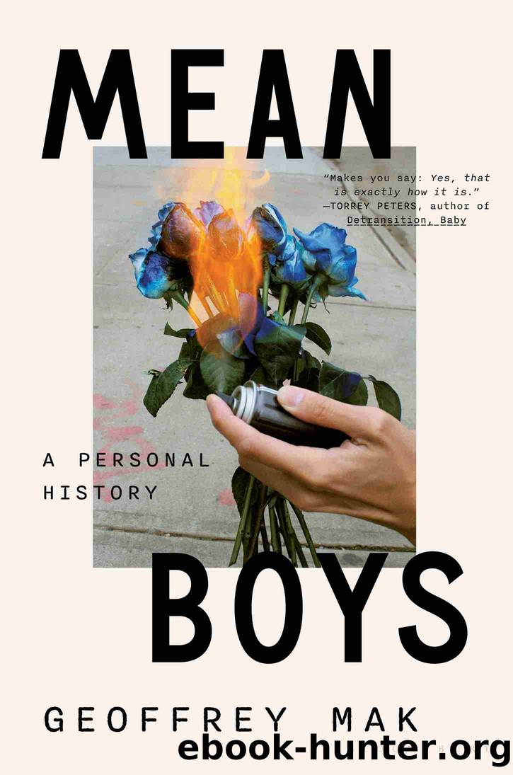 Mean Boys by Geoffrey Mak