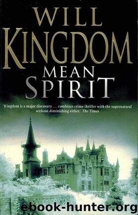 Mean Spirit by Will Kingdom