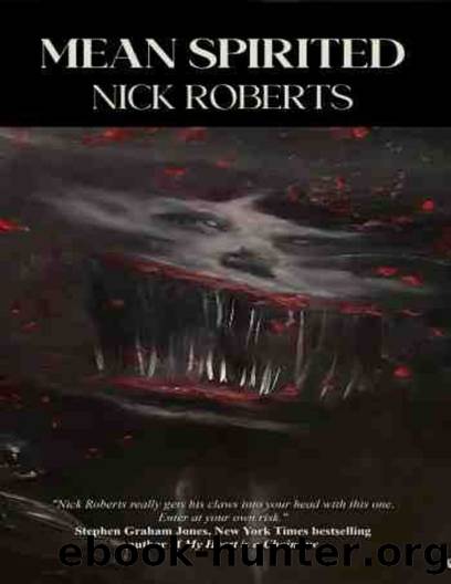 Mean Spirited by Nick Roberts & Crystal Lake Publishing & Crystal Lake Audio & Spencer Dillehay