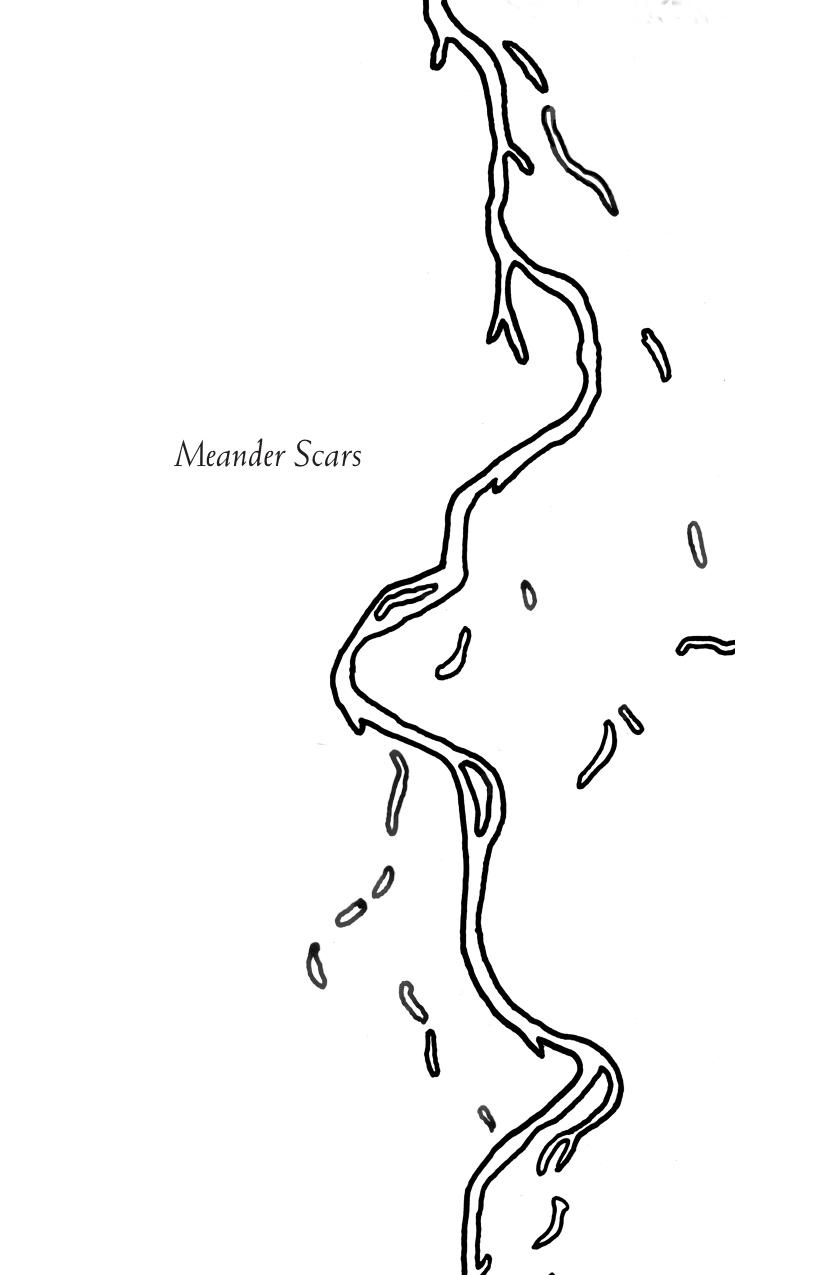 Meander Scars : Reflections on Healing the Willamette River by Abby Phillips Metzger