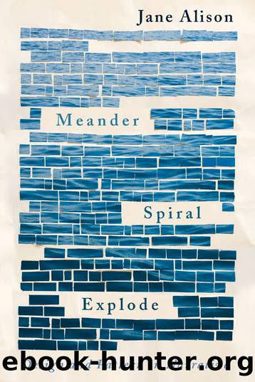 Meander, Spiral, Explode: Design and Pattern in Narrative by Jane Alison
