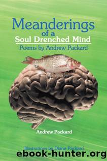 Meanderings of a Soul Drenched Mind by Andrew Packard