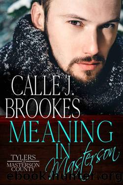 Meaning in Masterson (Masterson County Book 7) by Calle J. Brookes